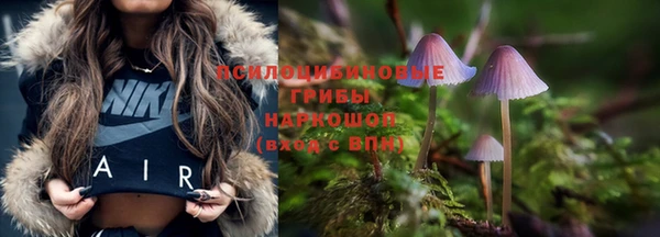 a pvp Армянск