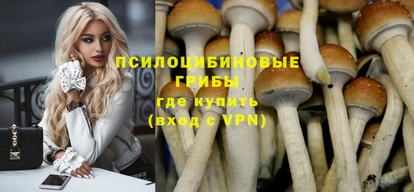 apvp Аркадак