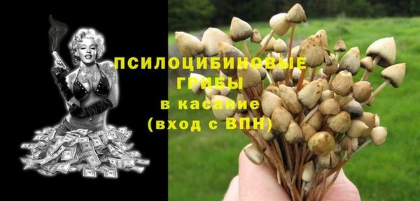 a pvp Армянск