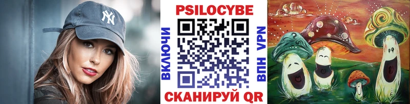 Купить закладки  Советск  Псилоцибиновые грибы ЛСД 